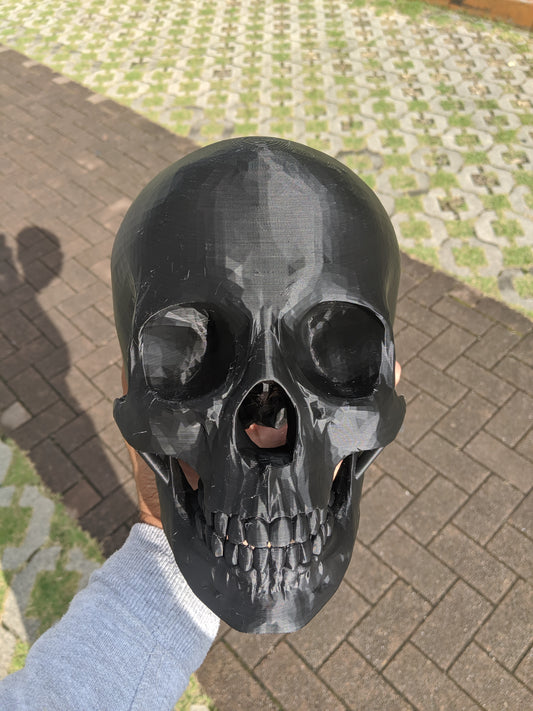 Skull
